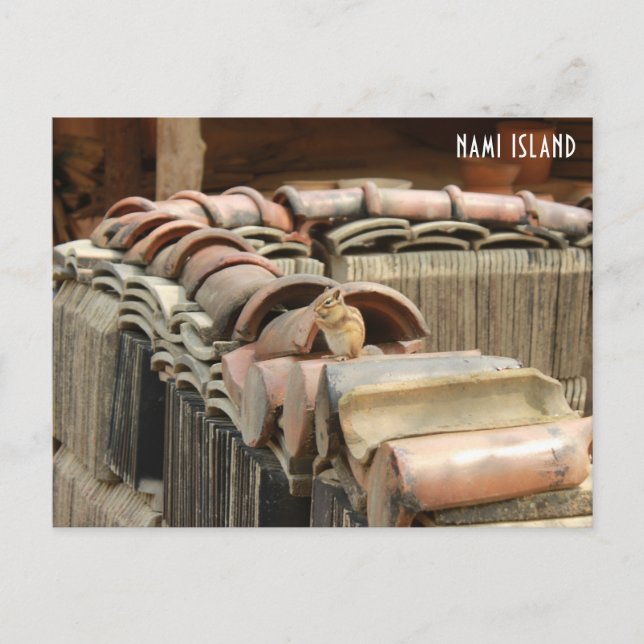 Cartão Postal Cartão-postal da Ilha Nami (Frente)
