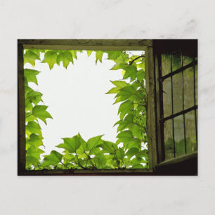 Cartão Postal Cartão-postal da janela