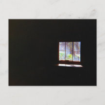 Cartão-postal da janela Vintage Daffodil