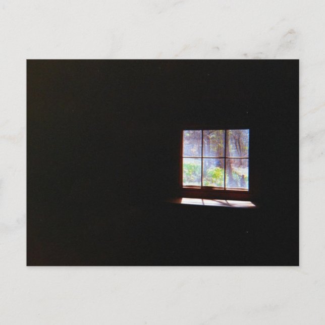 Cartão Postal Cartão-postal da janela Vintage Daffodil (Frente)