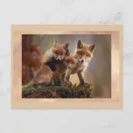Cartão Postal Cartão-postal da Jovem Fox Trio