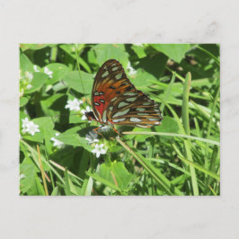 Cartão Postal Cartão-postal da Lady Butterfly pintado
