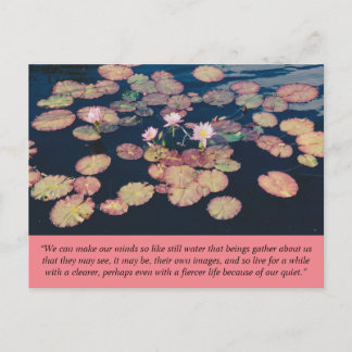 Cartão Postal Cartão-postal da Lily Water Stilness