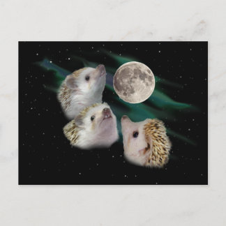 Cartão Postal Cartão-postal da Lua Hedgehog