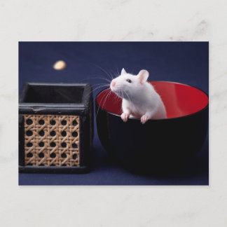 Cartão Postal Cartão-postal da Mesa Luna