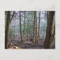 Cartão-postal da Montanha de outubro