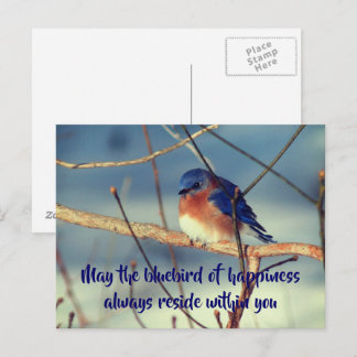 Cartão Postal Cartão-postal da Natureza da Felicidade Bluebird