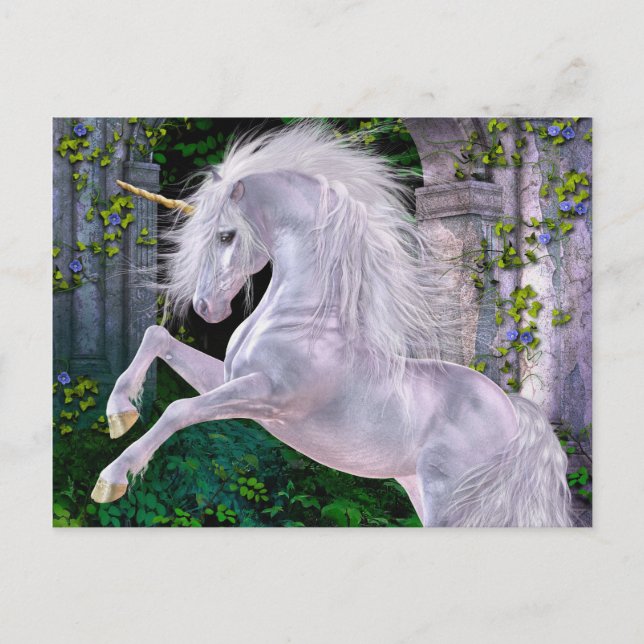 Cartão Postal Cartão-postal da noite encantado (Frente)