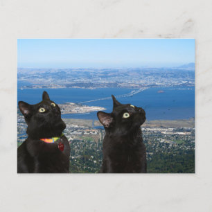 Cartão Postal Cartão-postal da prisão de San Quentin