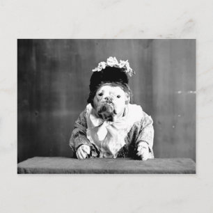 Cartão Postal Cartão-postal da Rainha Bulldog