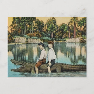 Cartão Postal Cartão-postal da Ride'um Gator Funny