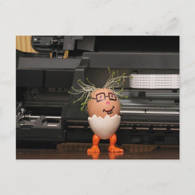 Cartão Postal Cartão-postal da série Printer Master Eggmen (Frente)
