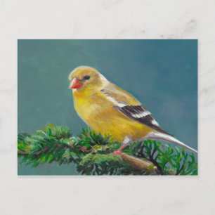 Cartão Postal Cartão-postal da Sra. Goldfinch Bird Art