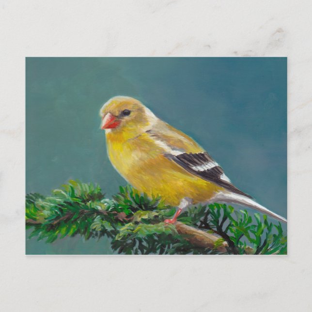 Cartão Postal Cartão-postal da Sra. Goldfinch Bird Art (Frente)
