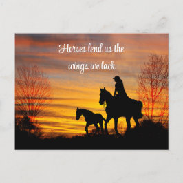 Cartão Postal Cartão-postal da Sunset Horseback