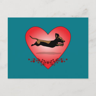 Cartão Postal Cartão-postal Dachshund