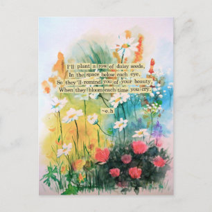 Cartão Postal Cartão-postal Daisies