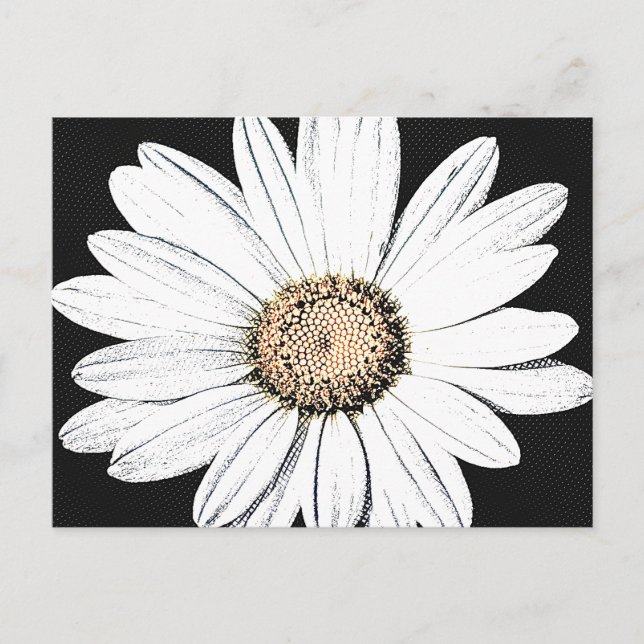Cartão Postal Cartão-postal Daisy Mae (Frente)