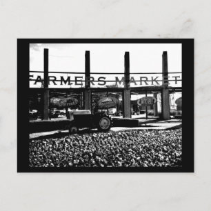 Cartão Postal Cartão-postal-Dallas Fotografia-12