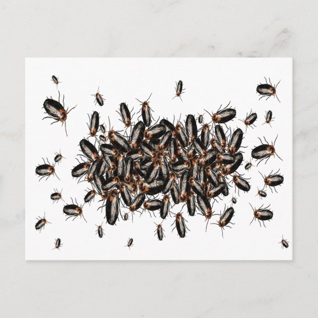 Cartão Postal Cartão-postal das Baratas da Morte (Frente)