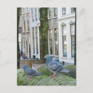 Cartão Postal Cartão-postal das Casas do Canal Holandês e dos Po