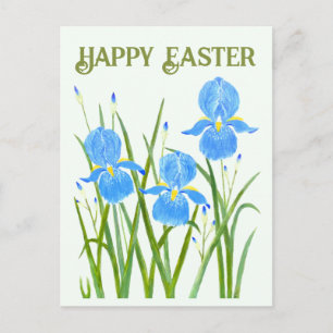 Cartão Postal Cartão-postal das Flores Iris