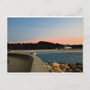 Cartão Postal Cartão-postal das gaivotas sunrise