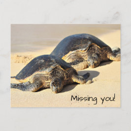 Cartão Postal Cartão-postal das tartarugas marinhas havaianas