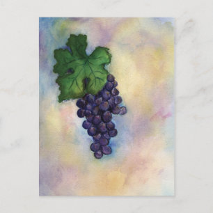 Cartão Postal Cartão-postal das Uvas de Vinho Vermelho Cabernet