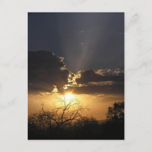 Cartão Postal Cartão-postal das Vistas de Arte Vidas