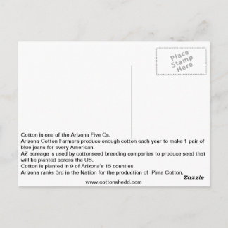 Cartão Postal Cartão-postal de 1912 com Arizona de algodão