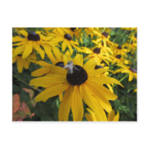 Cartão-postal de abelhas do trabalhador