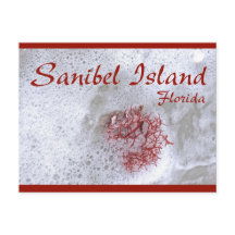 Cartão-postal de algas vermelhas da ilha Sanibel