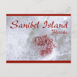 Cartão Postal Cartão-postal de algas vermelhas da ilha Sanibel