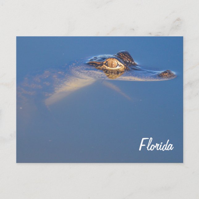 Cartão Postal Cartão-postal de alinhamento de bebê (Frente)