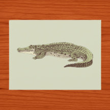 Cartão-postal de Alligador