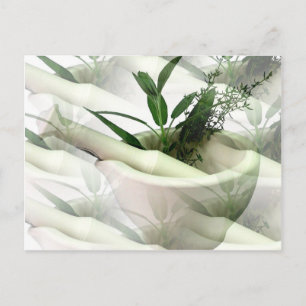 Cartão Postal Cartão-postal de alternativo