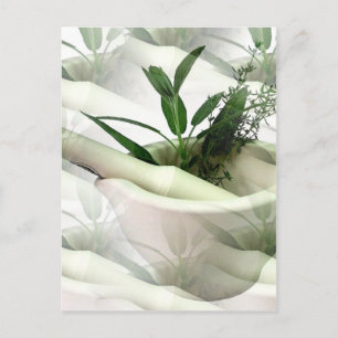 Cartão Postal Cartão-postal de alternativo