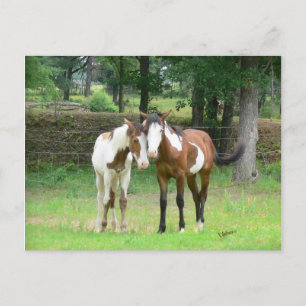 Cartão Postal Cartão-postal de amigos