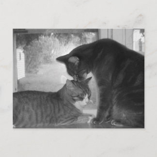 Cartão Postal Cartão-postal de amigos