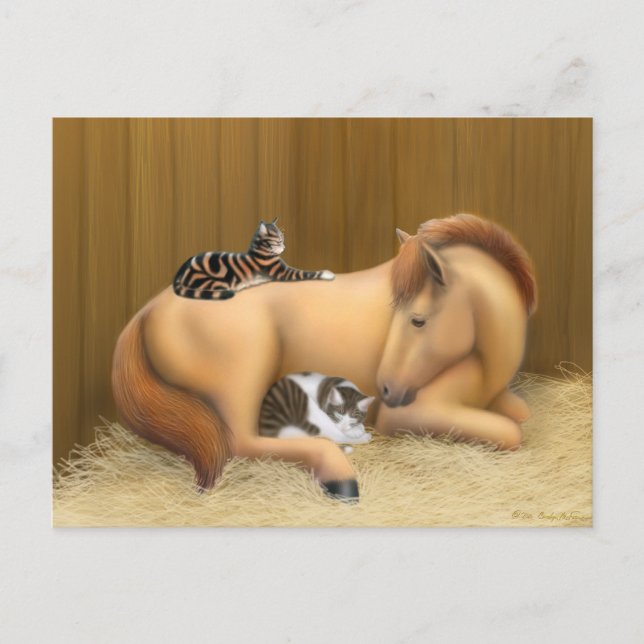 Cartão Postal Cartão-postal de amigos da Barn (Frente)