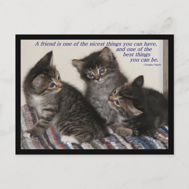 Cartão Postal Cartão-postal de amizade (Frente)