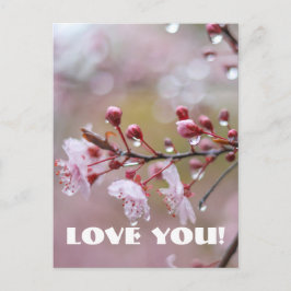 Cartão Postal Cartão-postal de amor