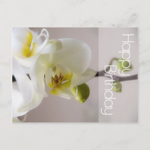 Cartão Postal Cartão-postal de aniversário da Orquídea Branca
