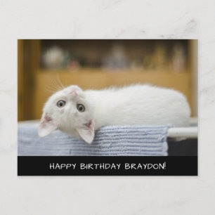 Cartão Postal Cartão-postal de aniversário de gato branco e bo