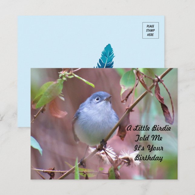 Cartão Postal Cartão-postal de aniversário do pequeno Birdie (Frente/Verso)