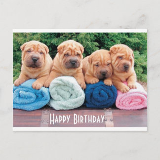 Cartão Postal Cartão-postal de aniversário feliz chinês Shar Pei