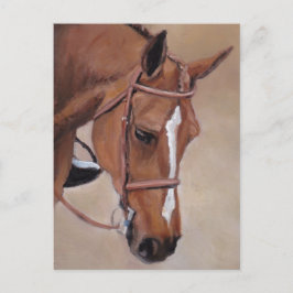 Cartão Postal Cartão-postal de arte animal Bay Horse