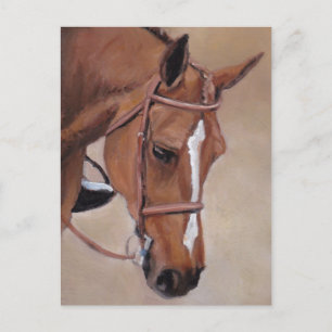 Cartão Postal Cartão-postal de arte animal Bay Horse