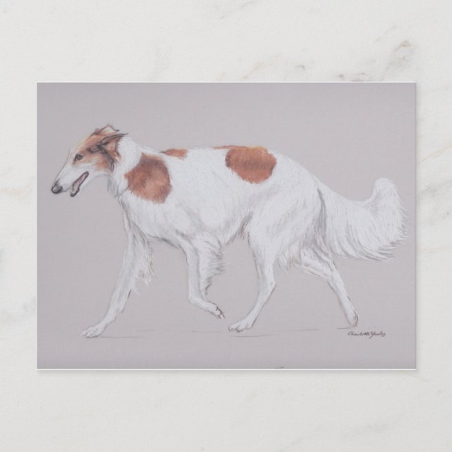 Cartão Postal Cartão-postal de Arte Canina Borzoi Russia Wolfhou (Frente)